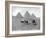 The Pyramids of Giza, Cairo, Egypt, C1920S-null-Framed Giclee Print