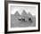 The Pyramids of Giza, Cairo, Egypt, C1920S-null-Framed Giclee Print