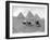 The Pyramids of Giza, Cairo, Egypt, C1920S-null-Framed Giclee Print