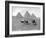 The Pyramids of Giza, Cairo, Egypt, C1920S-null-Framed Giclee Print