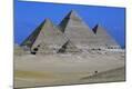 Photographic Print
