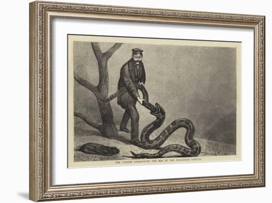 The Python Swallowing the Boa at the Zoological Gardens-null-Framed Giclee Print