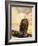 The Queen at Rest Bald Eagle-Jai Johnson-Framed Giclee Print