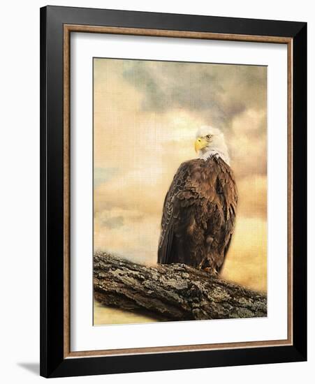 The Queen at Rest Bald Eagle-Jai Johnson-Framed Giclee Print