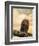 The Queen at Rest Bald Eagle-Jai Johnson-Framed Giclee Print