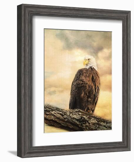 The Queen at Rest Bald Eagle-Jai Johnson-Framed Giclee Print