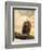 The Queen at Rest Bald Eagle-Jai Johnson-Framed Giclee Print