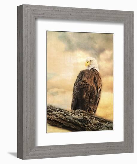 The Queen at Rest Bald Eagle-Jai Johnson-Framed Giclee Print