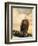 The Queen at Rest Bald Eagle-Jai Johnson-Framed Giclee Print