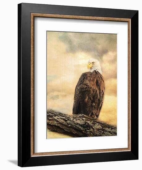 The Queen at Rest Bald Eagle-Jai Johnson-Framed Giclee Print