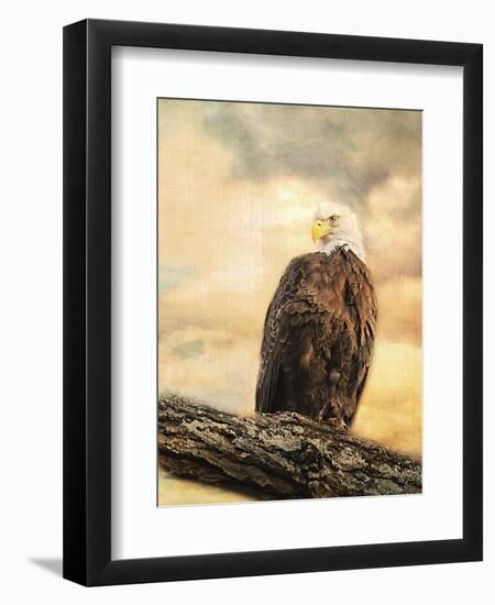 The Queen at Rest Bald Eagle-Jai Johnson-Framed Giclee Print