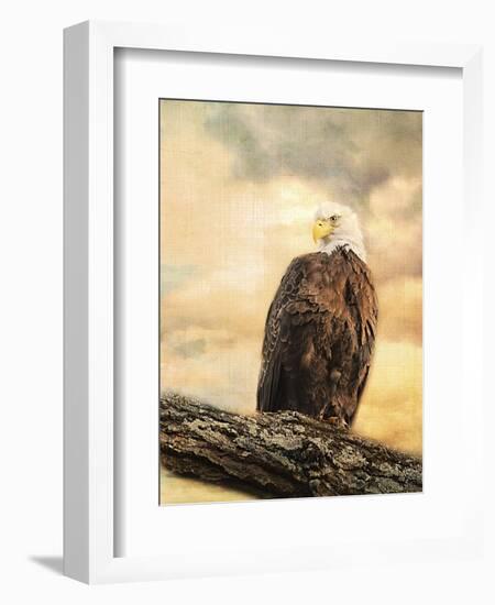 The Queen at Rest Bald Eagle-Jai Johnson-Framed Giclee Print