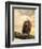 The Queen at Rest Bald Eagle-Jai Johnson-Framed Giclee Print