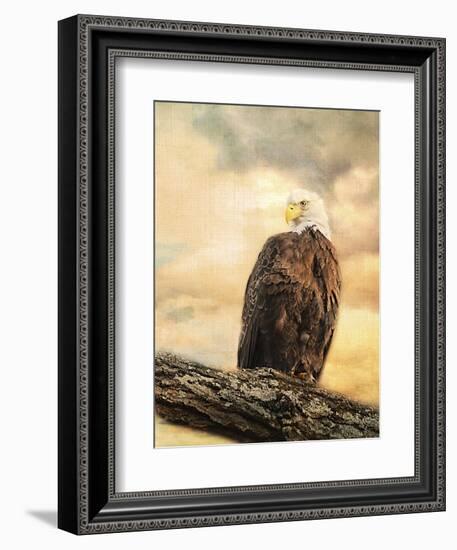 The Queen at Rest Bald Eagle-Jai Johnson-Framed Giclee Print