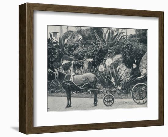 The Queen Driving in the Grounds of the Grand Hotel at Grasse During Her Holiday in the Riviera in-Alexander Lamont Henderson-Framed Photographic Print