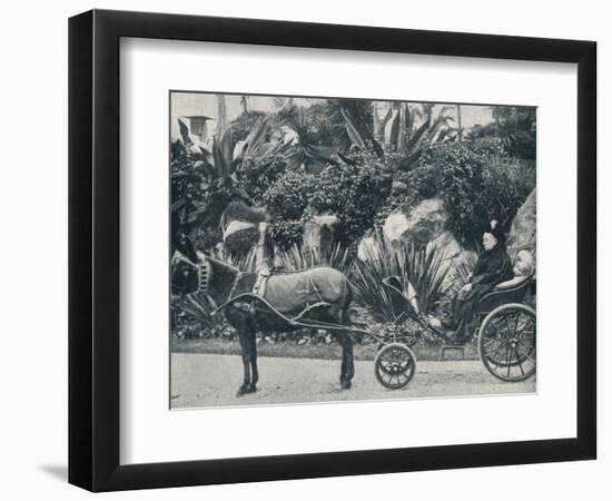 The Queen Driving in the Grounds of the Grand Hotel at Grasse During Her Holiday in the Riviera in-Alexander Lamont Henderson-Framed Photographic Print