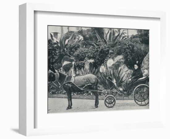 The Queen Driving in the Grounds of the Grand Hotel at Grasse During Her Holiday in the Riviera in-Alexander Lamont Henderson-Framed Photographic Print