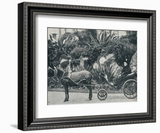 The Queen Driving in the Grounds of the Grand Hotel at Grasse During Her Holiday in the Riviera in-Alexander Lamont Henderson-Framed Photographic Print