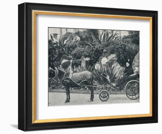 The Queen Driving in the Grounds of the Grand Hotel at Grasse During Her Holiday in the Riviera in-Alexander Lamont Henderson-Framed Photographic Print