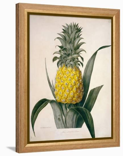 The Queen Pineapple-Porter Design-Framed Premier Image Canvas