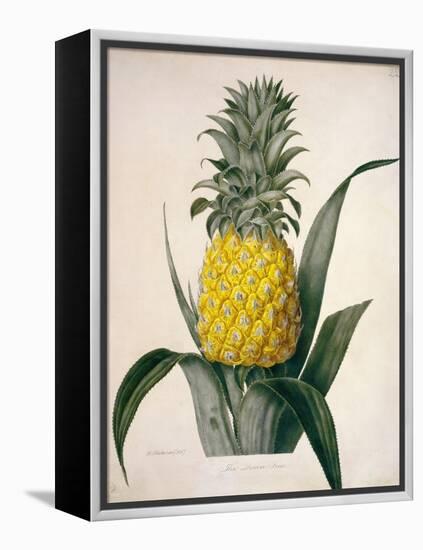 The Queen Pineapple-Porter Design-Framed Premier Image Canvas