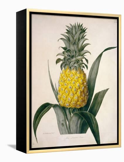 The Queen Pineapple-Porter Design-Framed Premier Image Canvas