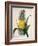 The Queen Pineapple-Porter Design-Framed Giclee Print