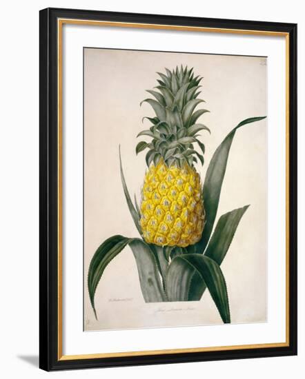 The Queen Pineapple-Porter Design-Framed Premium Giclee Print