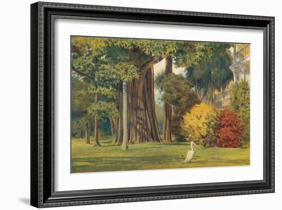 'The Queen's House, Colombo', c1880 (1905)-Alexander Henry Hallam Murray-Framed Giclee Print