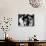 The Queen Talking to Bruce Forsythe and Eartha Kitt. November 1958-null-Photographic Print displayed on a wall