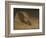 The Questioner of the Sphinx (Oil on Canvas)-Elihu Vedder-Framed Giclee Print