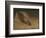 The Questioner of the Sphinx (Oil on Canvas)-Elihu Vedder-Framed Giclee Print