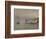 The Quiet River: the Thames at Chiswick-Victor Pasmore-Framed Giclee Print