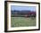 The Quorn Fox Hunt, Leicestershire, England-Alan Klehr-Framed Photographic Print