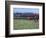 The Quorn Fox Hunt, Leicestershire, England-Alan Klehr-Framed Photographic Print