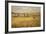 The Quorn - Gartree Hill-John King-Framed Premium Giclee Print