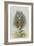 The Rabbit Running Away-John Tenniel-Framed Giclee Print