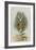 The Rabbit Running Away-John Tenniel-Framed Giclee Print