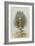 The Rabbit Running Away-John Tenniel-Framed Giclee Print