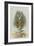 The Rabbit Running Away-John Tenniel-Framed Giclee Print