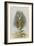 The Rabbit Running Away-John Tenniel-Framed Giclee Print