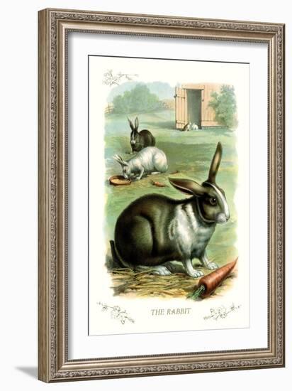 The Rabbit-null-Framed Art Print