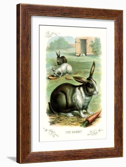 The Rabbit-null-Framed Art Print