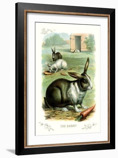 The Rabbit-null-Framed Art Print