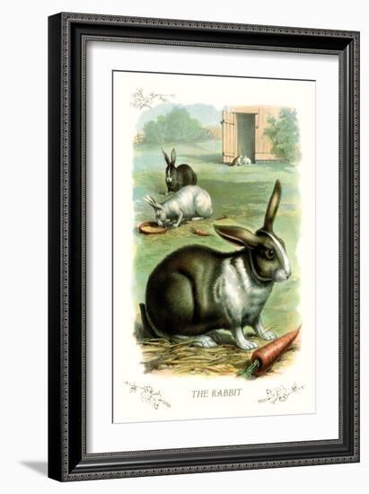 The Rabbit-null-Framed Art Print