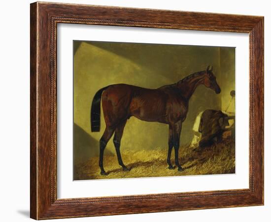 The Race Horse 'Merry Monarch' in a Stall-John Frederick Herring I-Framed Giclee Print