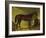 The Race Horse 'Merry Monarch' in a Stall-John Frederick Herring I-Framed Giclee Print