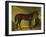 The Race Horse 'Merry Monarch' in a Stall-John Frederick Herring I-Framed Giclee Print