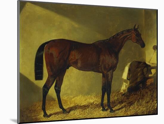 The Race Horse 'Merry Monarch' in a Stall-John Frederick Herring I-Mounted Giclee Print