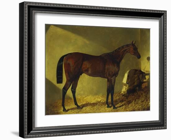 The Race Horse 'Merry Monarch' in a Stall-John Frederick Herring I-Framed Giclee Print